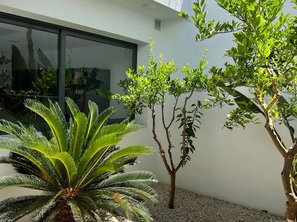 Casa o chalet independiente en Calle Genciana, 46, Olivar de Quintos, Olivar de Quintos - Foto 31