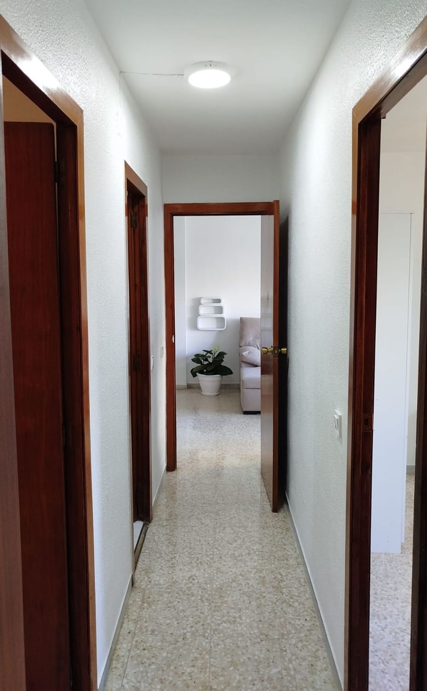 Piso en Calle Angel Ripoll Pastor, 2, Santa Aurelia - Foto 14