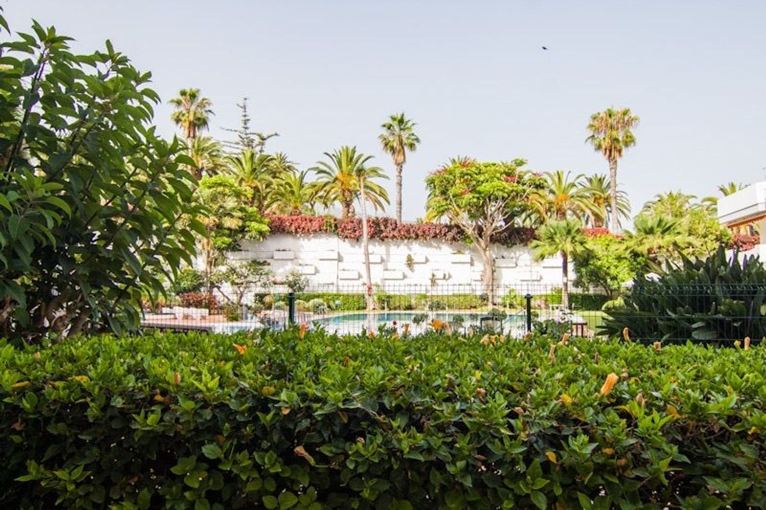 Estudio en Distrito Botánico - Foto 13