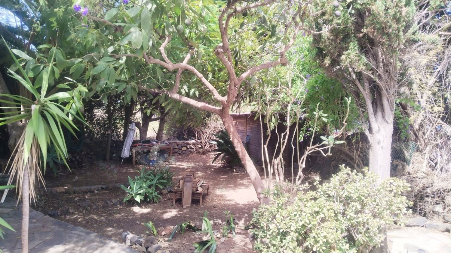 Finca rústica en Carretera Enlace el Ramal, 18 L, Centro, Centro - Foto 12