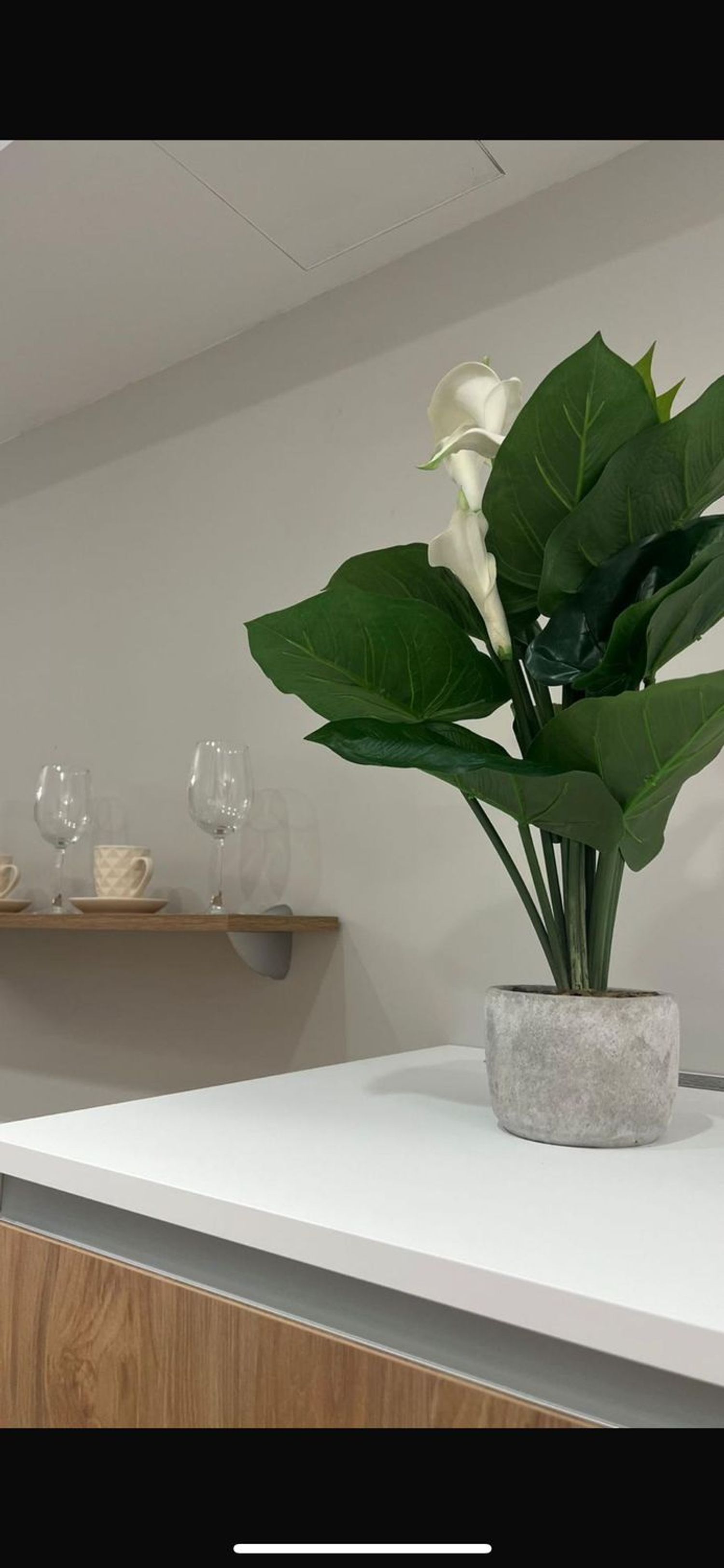 Estudio en calle Alfalfa, 7 - Foto 8