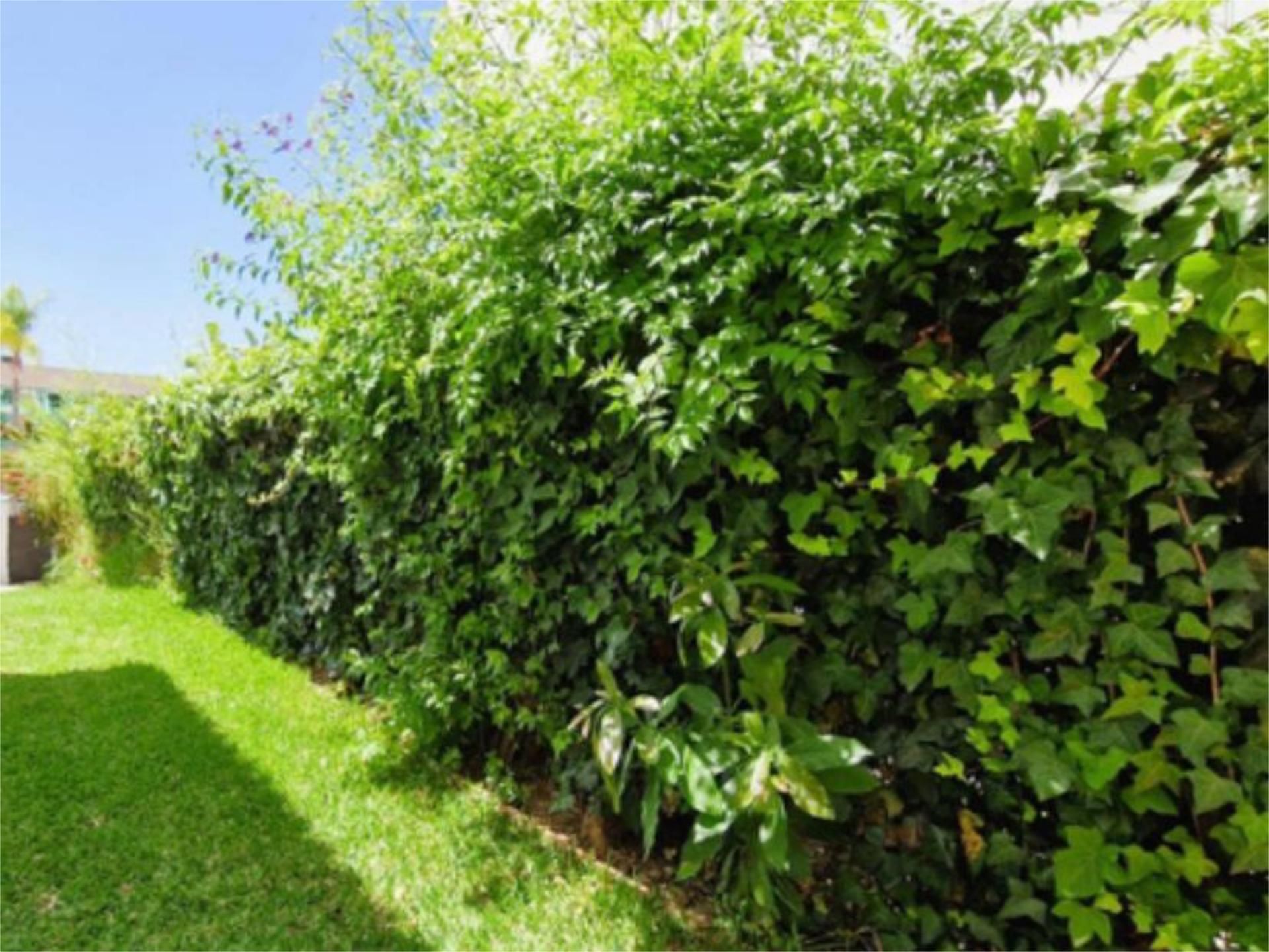 Chalet en  Urbanizacion Villa Parra Palomeras 112 - Foto 8