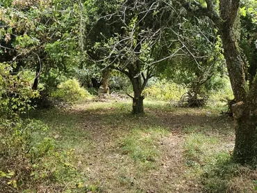 Finca rústica en  Lugar Vista Alegre 4 - Foto 5