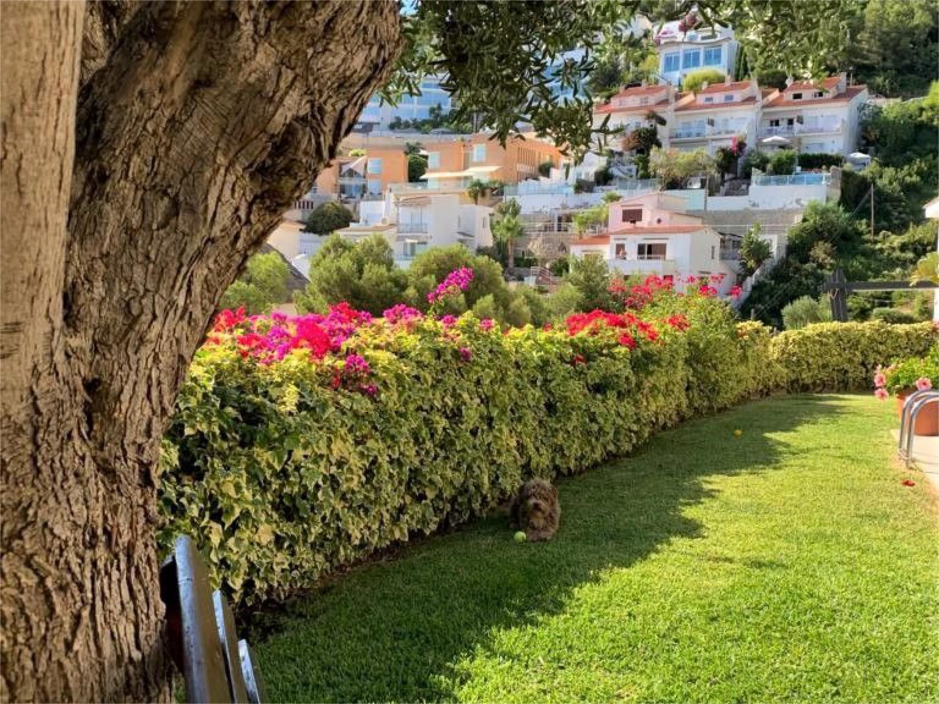 Chalet en  Carrer del Roc Florit 37 - Foto 3