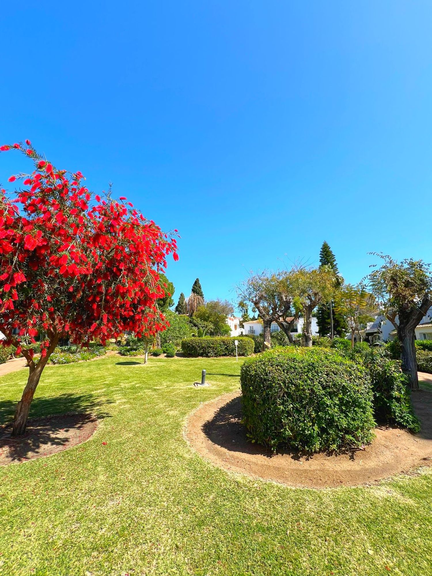 Chalet adosado en calle Hortensia, 137 b - Foto 21