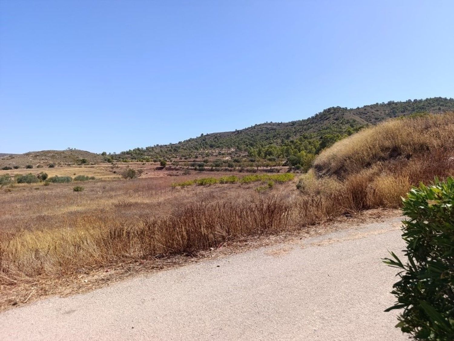 Casa rural en Paraje los Pinos Uno, 66 - Foto 8