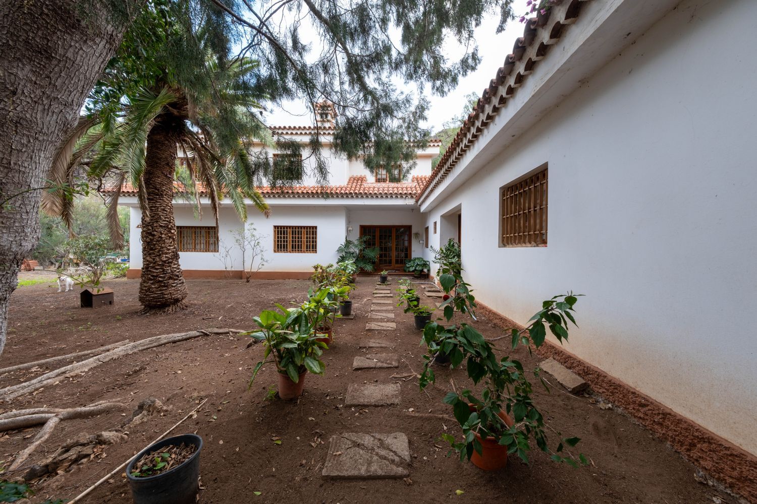 Casa o chalet independiente en Lugar Fuente Morales, 3, Tafira - Foto 20