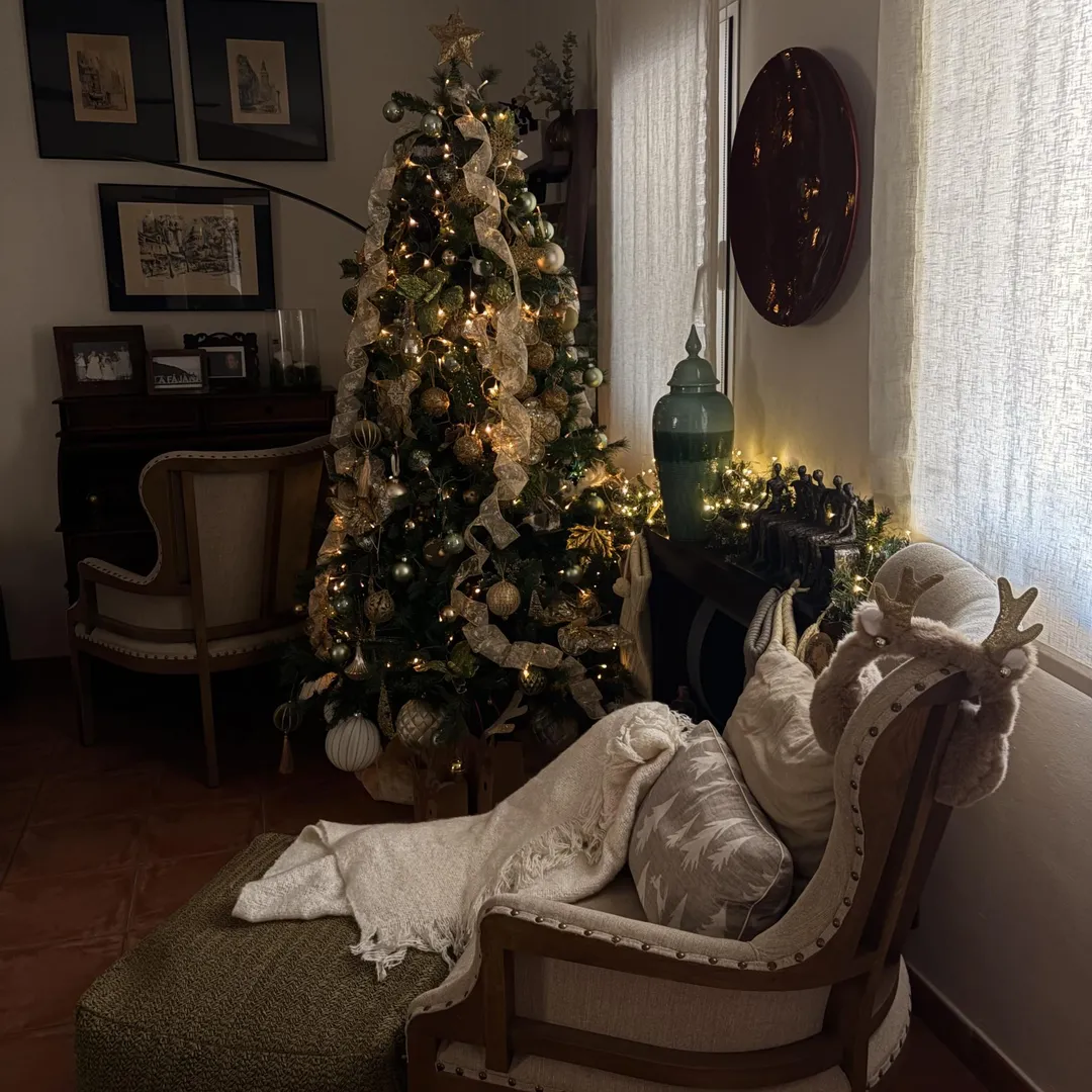 Dúplex en  Calle Alfonso de Armas Ayala 23 - Foto 18