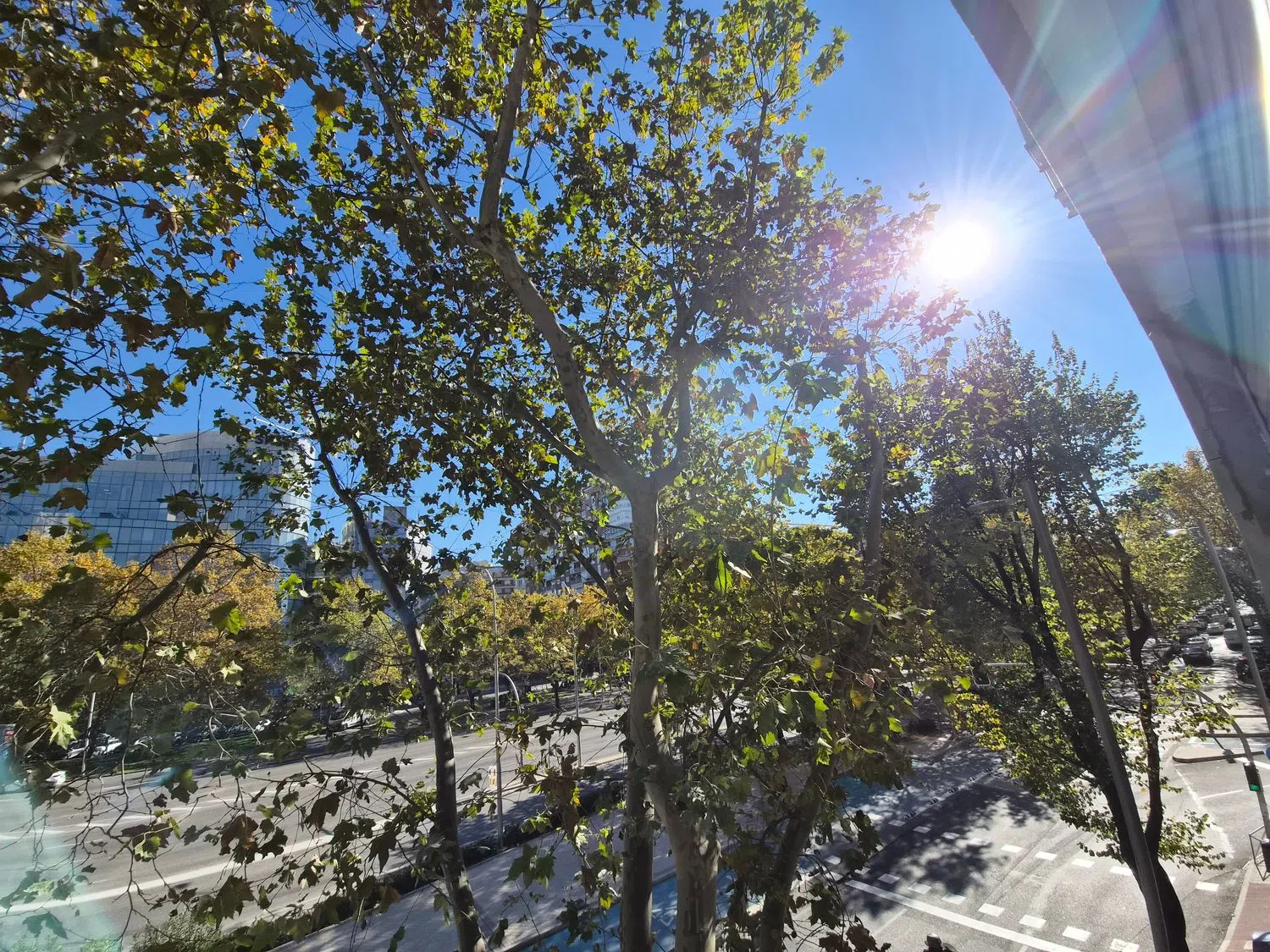 Piso en paseo de la Castellana, 175 - Foto 5