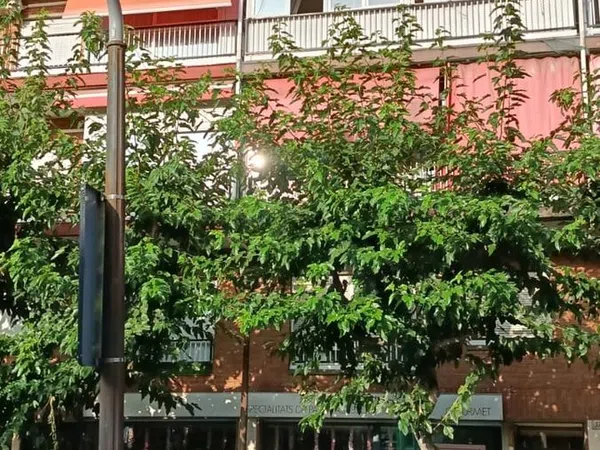 Local en Calle Martí Codolar, 35, Santa Eulàlia - Foto 5