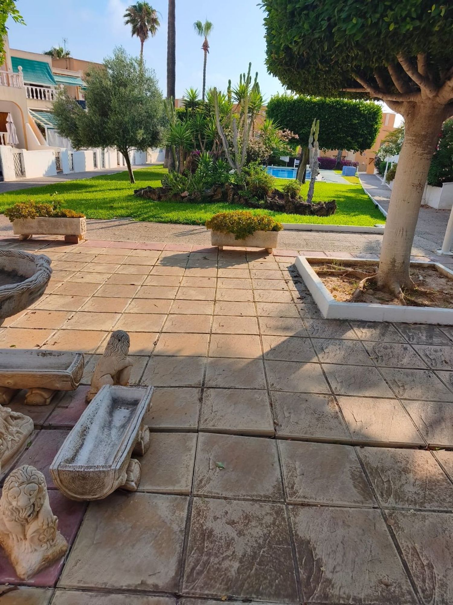 Piso en Avenida Corinto, 1, Torreblanca - Foto 12