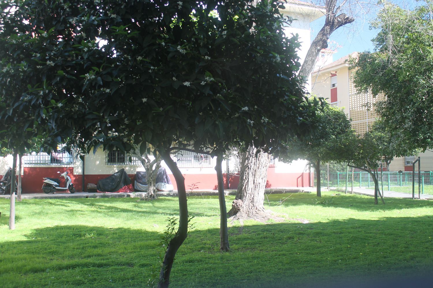 Piso en Parque Alcosa s/n ParqueAlcosa - Foto 10