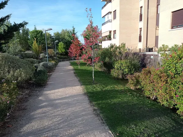 Piso en carretera de Húmera, 96 - Foto 2