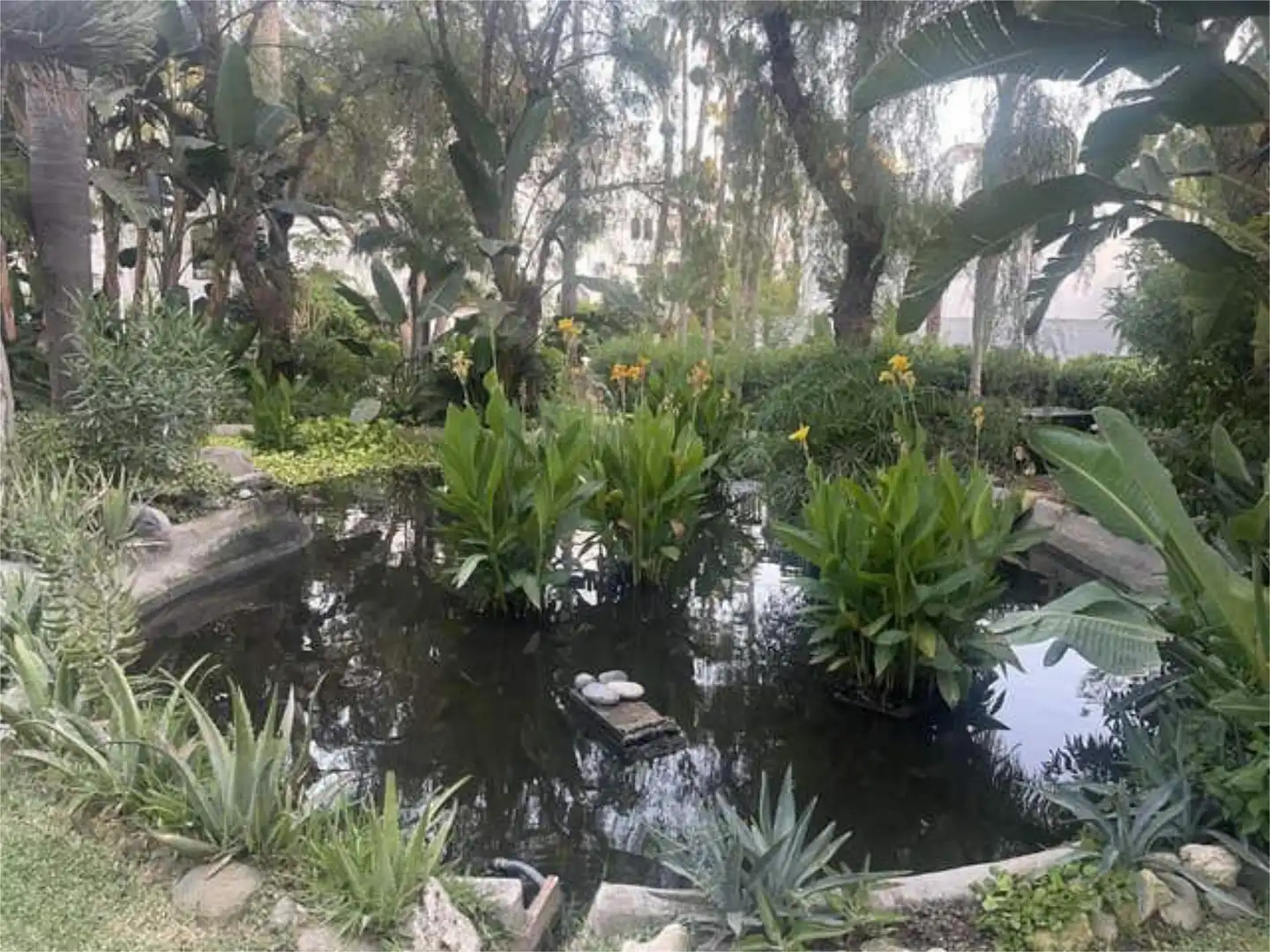 Apartamento en Marbella, Las Chapas, Cabopino. - Foto 7