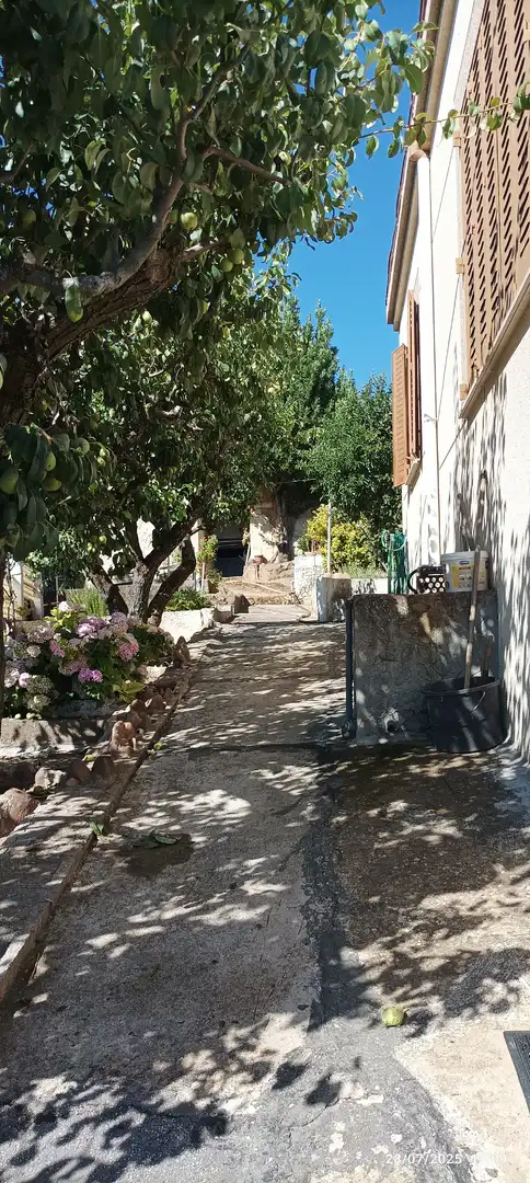 Chalet en  Avenida Amistad-O 25 - Foto 11