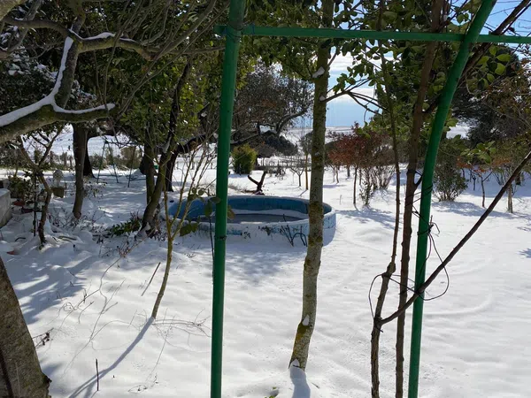 Finca rústica en Avenida de Constitución s/n - Foto 19