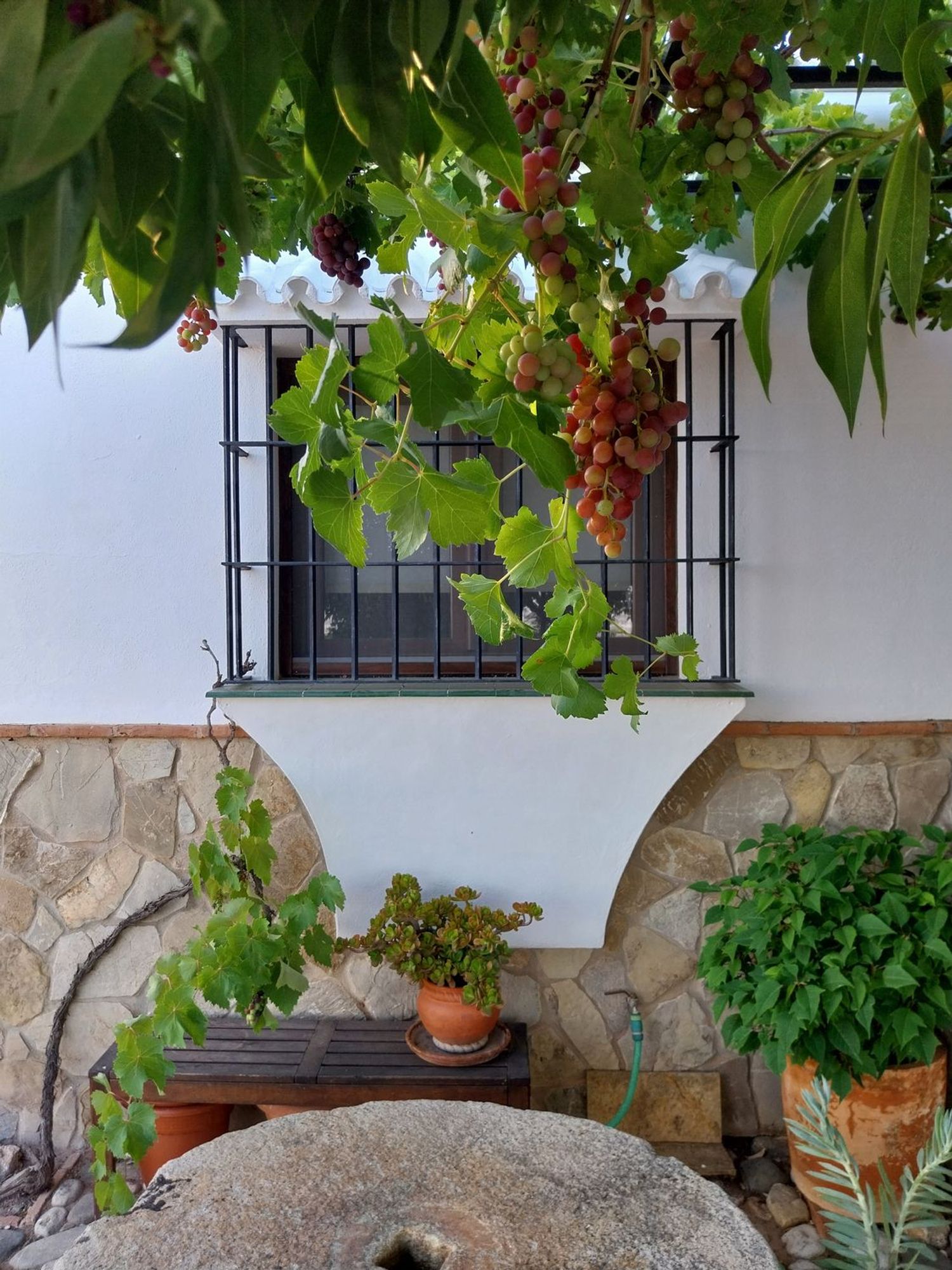 Finca rústica en montes s/n - Foto 5