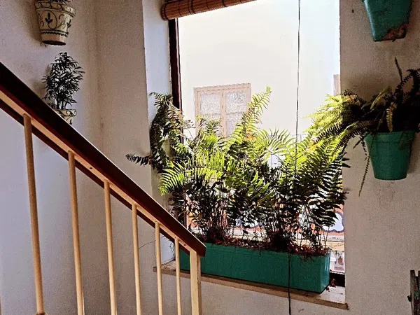 Casa independiente en plaza de España, 13 - Foto 33