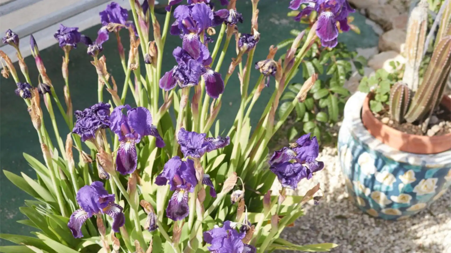 Chalet en  Partida Daimes 216 - Foto 87