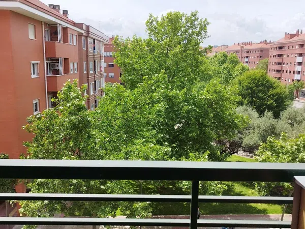 Piso en San Adrián - Siete Infantes - Foto 15