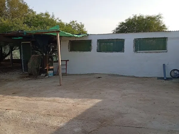 Casa independiente en Partida De La Hoya s/n - Foto 8