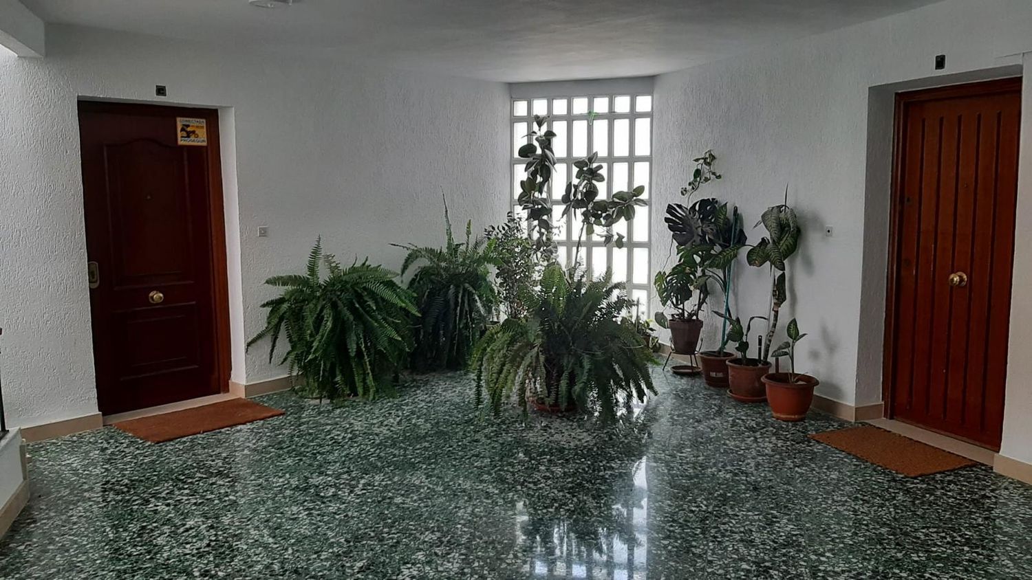 Piso en plaza Pintor Amalio García del Moral, 9 - Foto 26