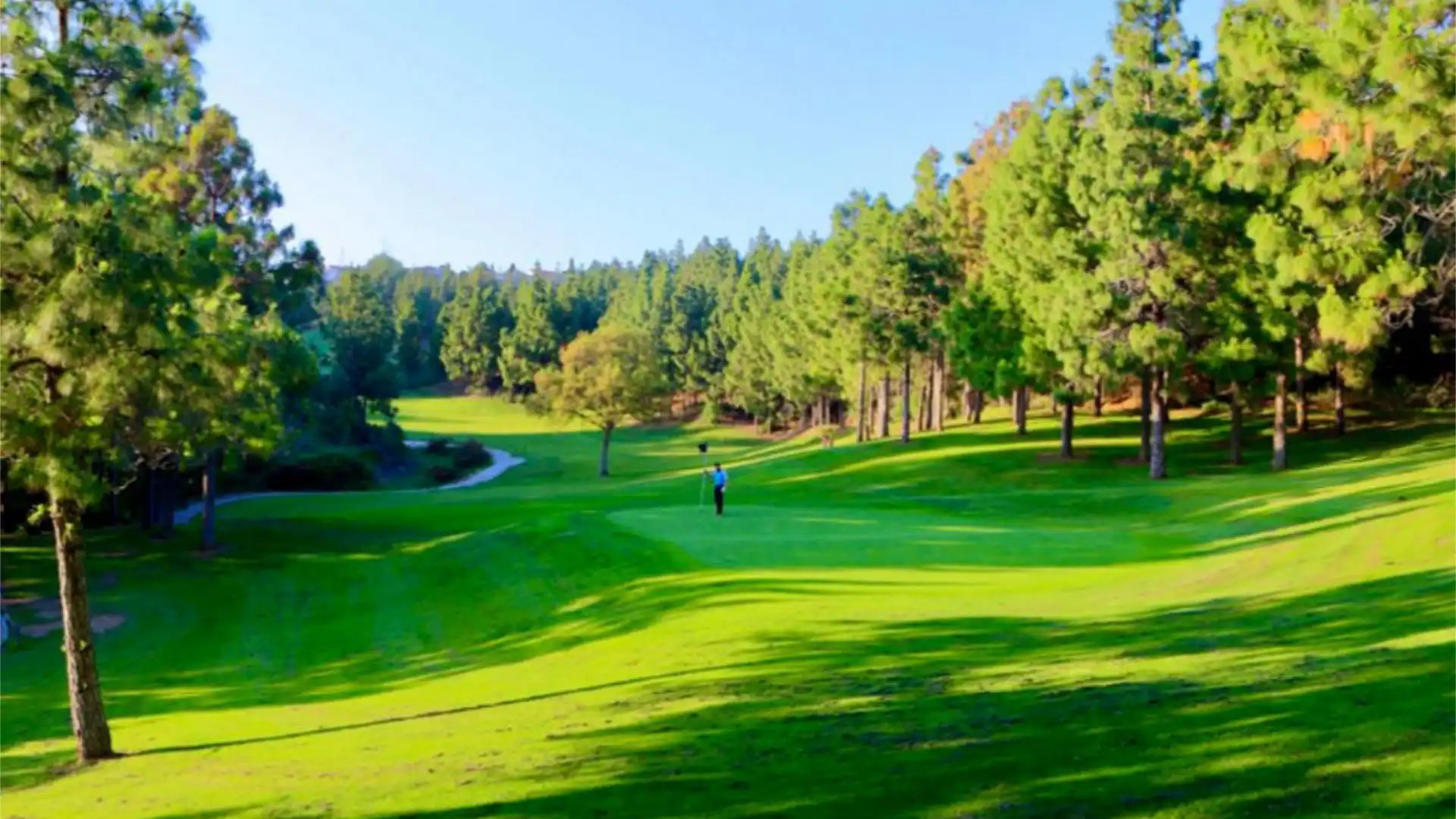 Piso en  Avenida Carmen Werner 14 - Foto 3