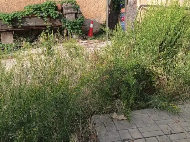 Terreno Residencial en  Carrer de Joan Maragall 1 - Foto 5