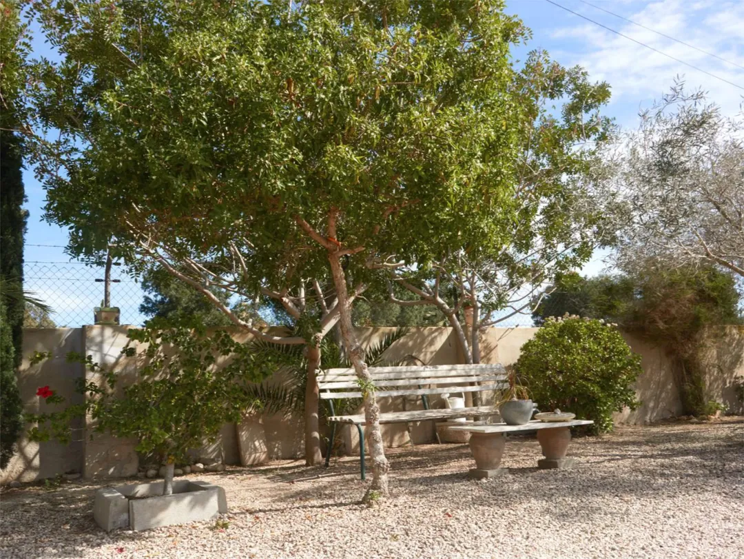 Chalet en  Partida Daimes 216 - Foto 97