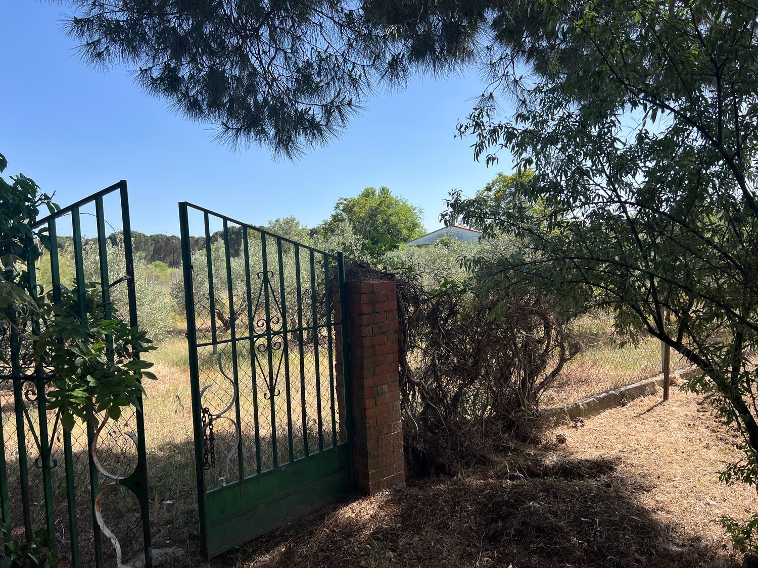 Finca rústica en Camino de Villa del Prado a Méntrida, 85 - Foto 14