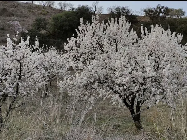 Casa rural en Los Peinados, 1 - Foto 11