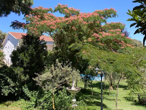 Finca rústica en Avenida de Constitución s/n - Foto 15
