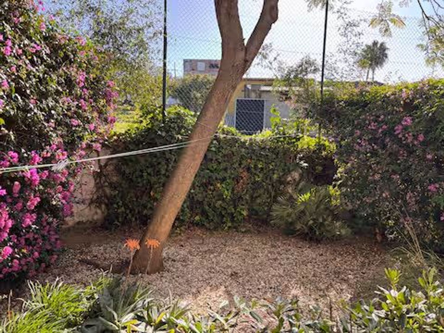 Chalet pareado en Calle Polo Sur, 20, San Enrique-Guadiaro-Pueblo Nuevo, San Enrique-Guadiaro-Pueblo Nuevo - Foto 15