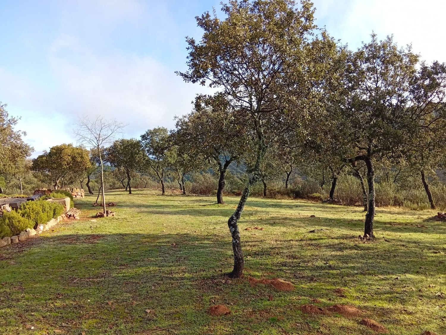 Finca rústica en 7wxh+j5, 7 - Foto 30