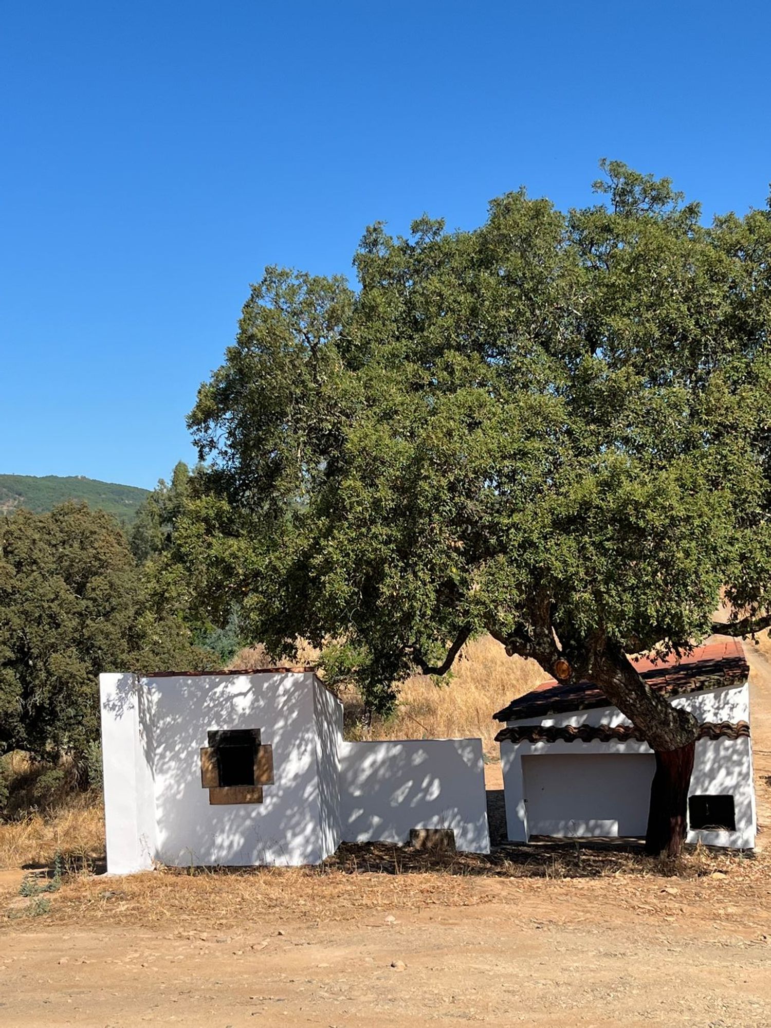 Finca rústica en La Codosera s/n - Foto 34