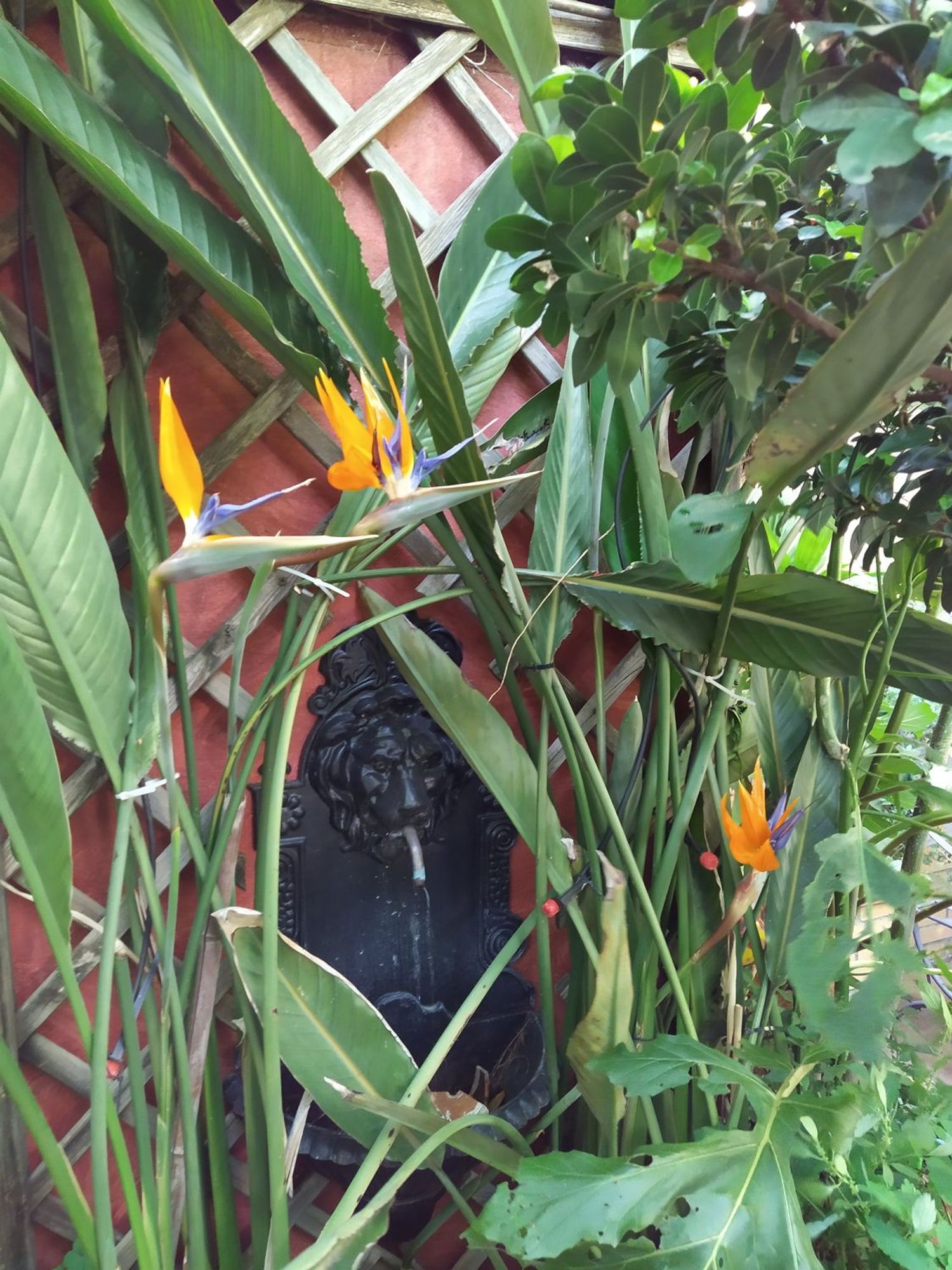 Chalet adosado en calle Fernando Fernán Gómez, 133 - Foto 1