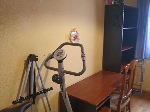 Piso en calle San Ramón, 5 - Foto 19