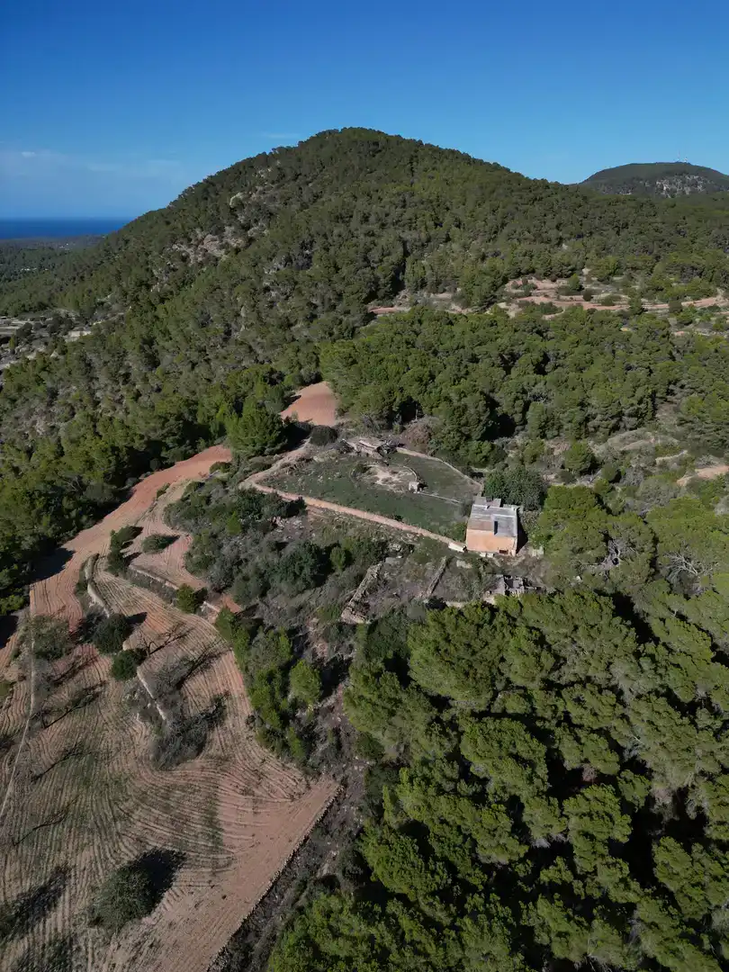 Finca rústica en  Diseminado Ses Paisses 248 - Foto 3