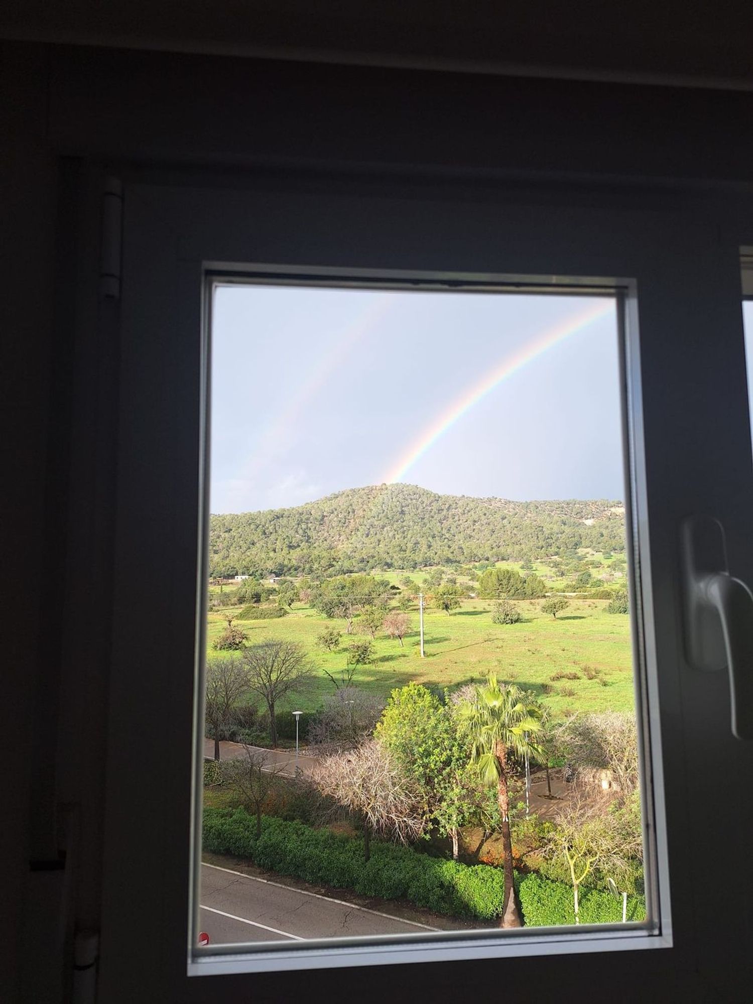 Piso en Palmanova - Foto 25