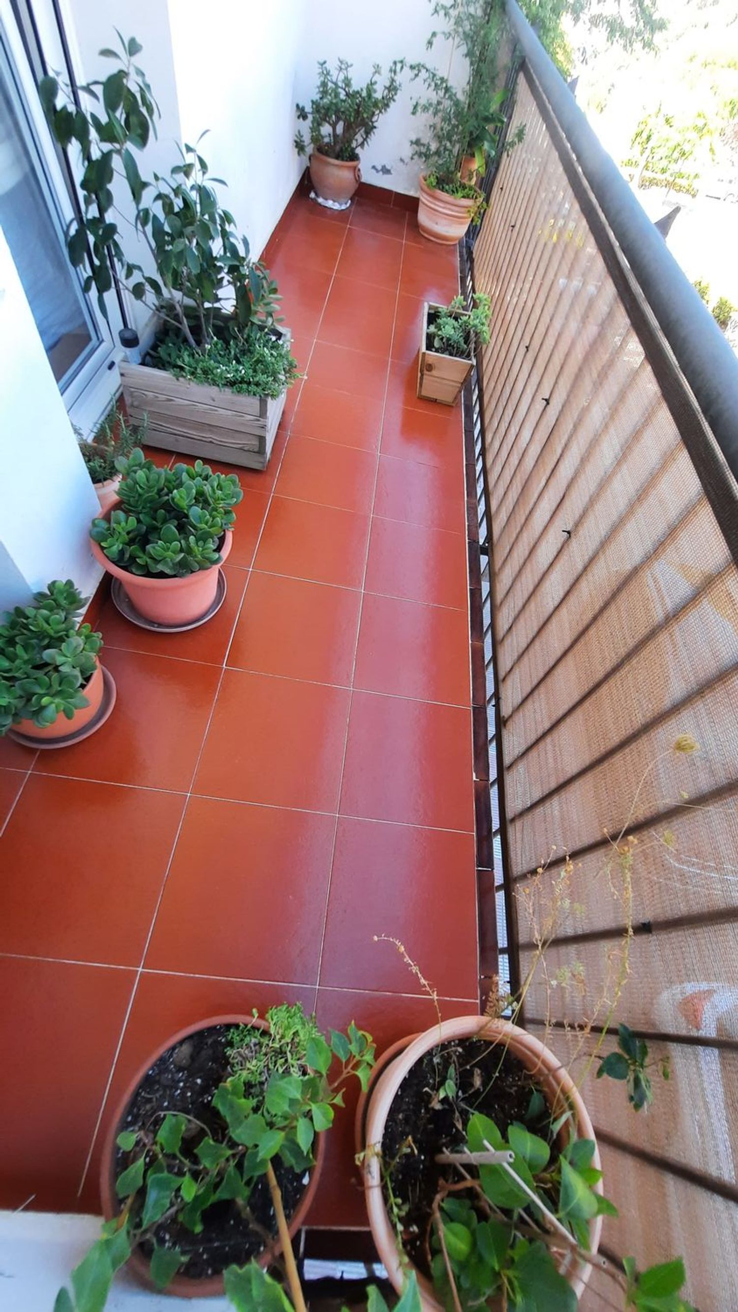 Piso en Calle de Sant Pere Màrtir, 33, Els Pavos, Els Pavos - Foto 20