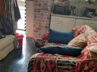 Estudio en La Mina - Foto 4