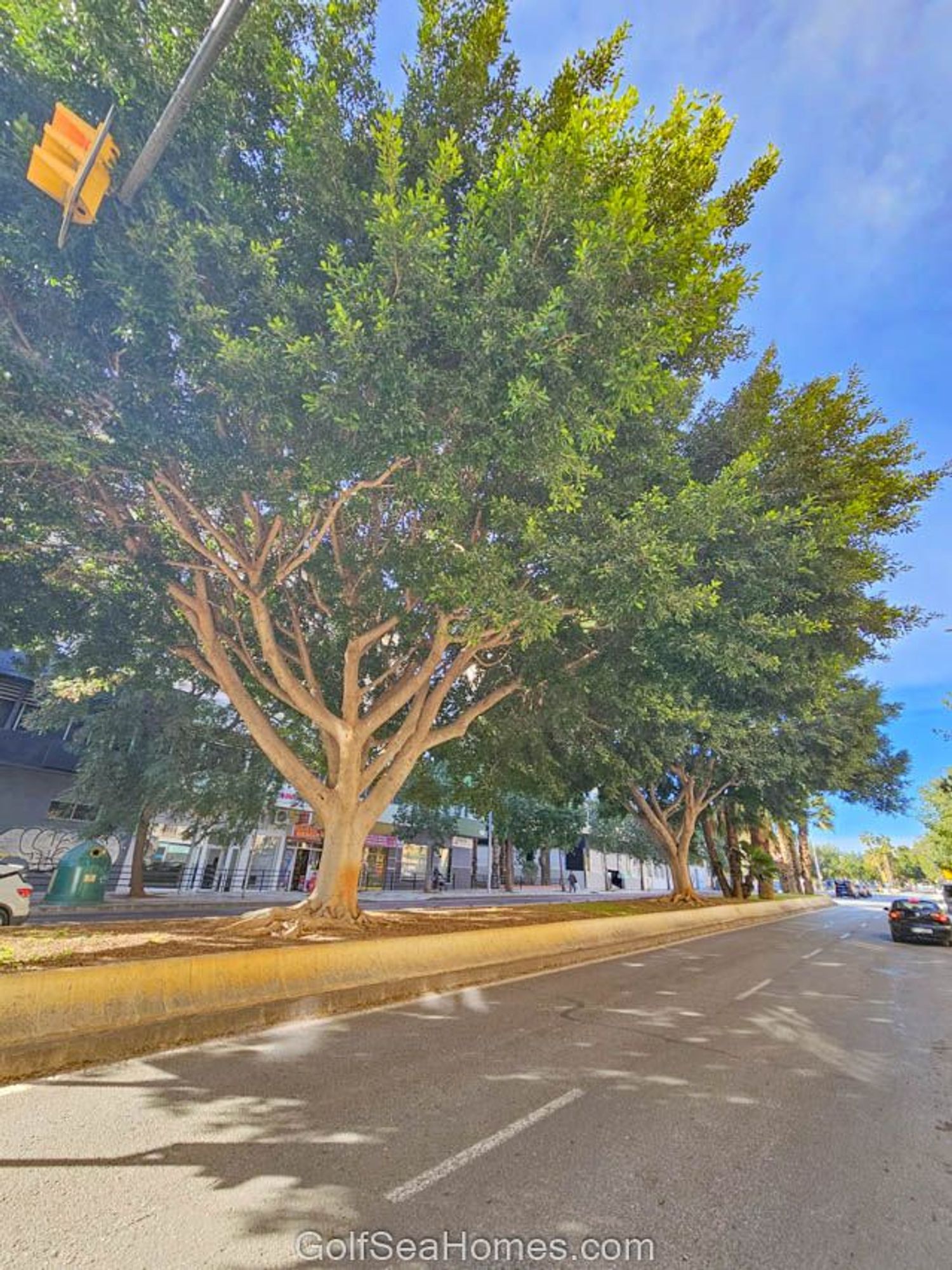 Ático en Avenida del Obispo Angel Herrera Oria, 13 - Foto 35