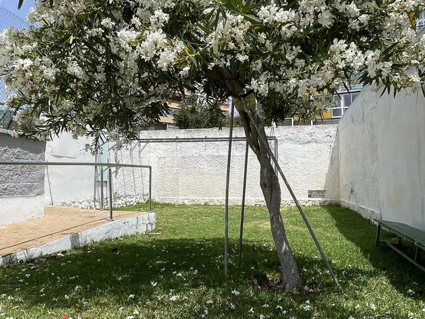 Piso en Avenida de la Telefónica, 13, Parque de la Paloma, Parque de la Paloma - Foto 23