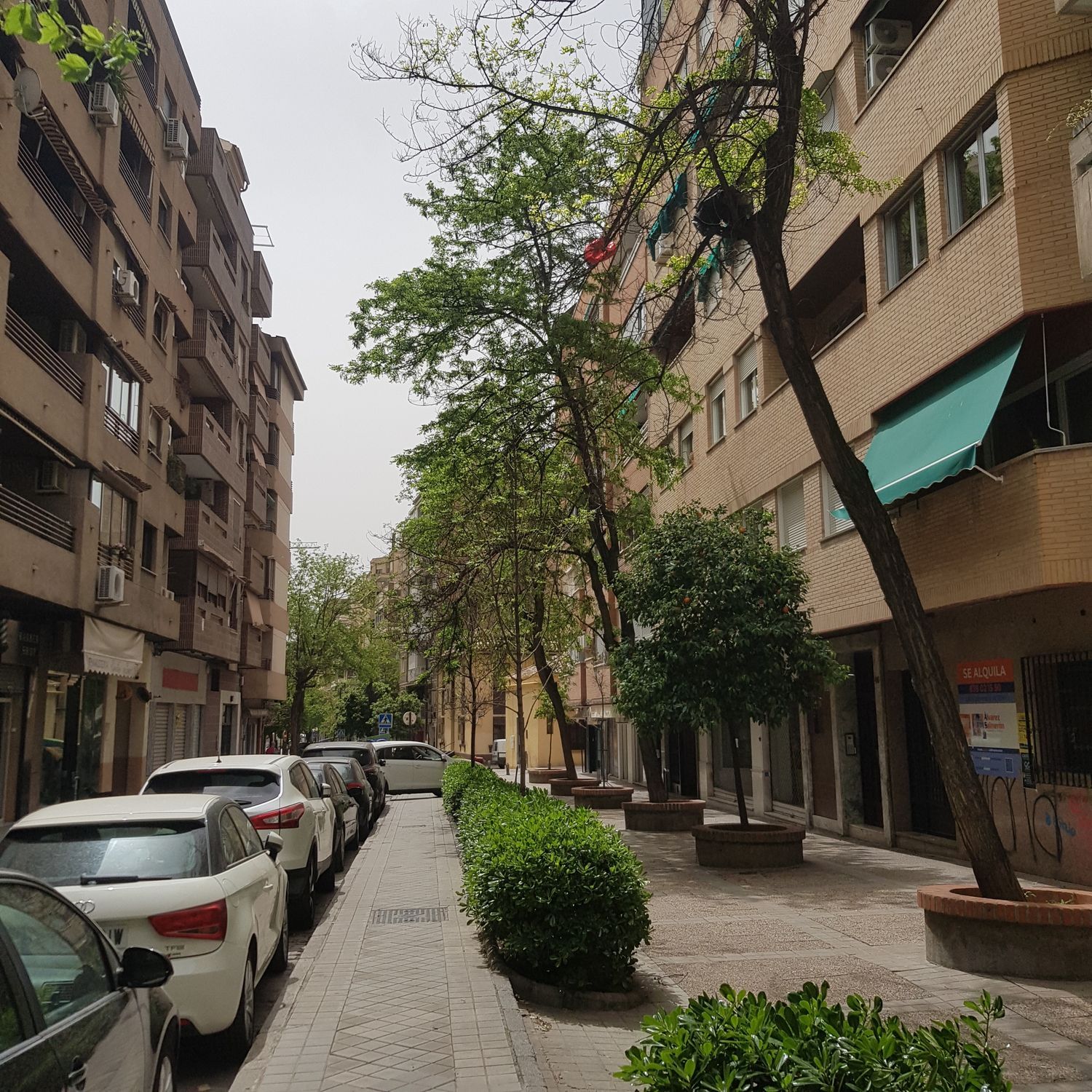 Alquiler de piso en Calle San José Baja, 35 - Foto 19