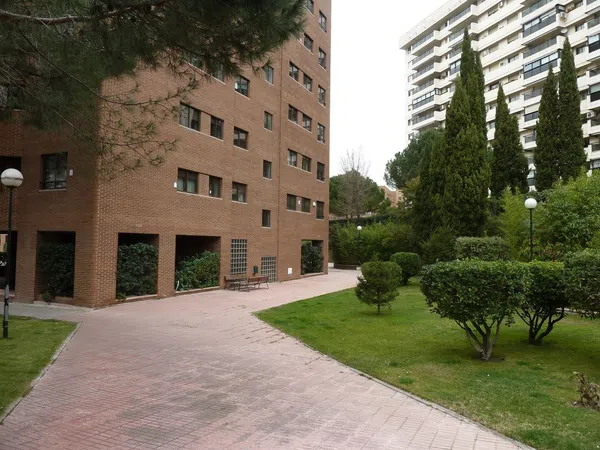 Piso en Calle Arzobispo Morcillo, 12, La Paz - Foto 13