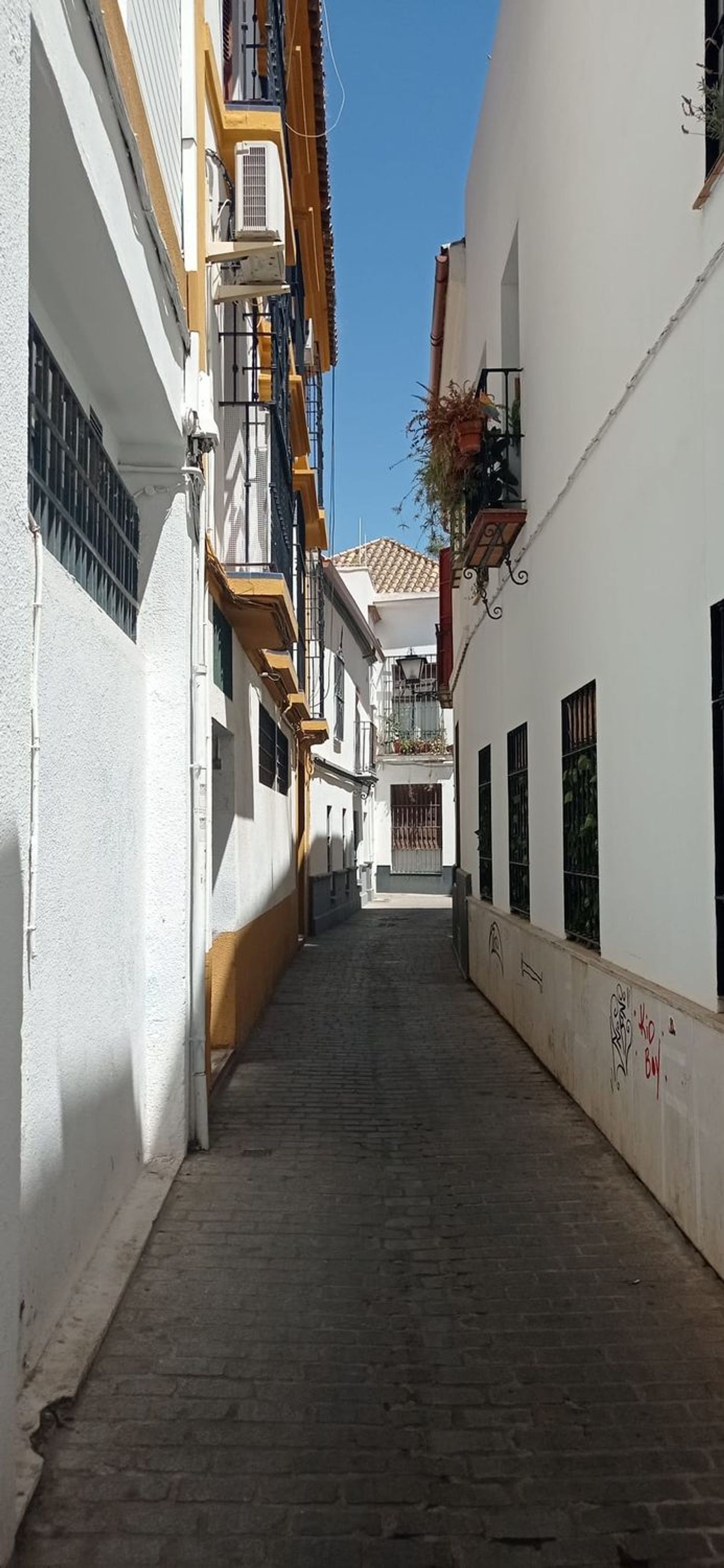 Piso en Calle Bordador Rodríguez Ojeda, 7 - Foto 7