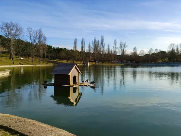 Piso en calle del Montón de Trigo, 5 - Foto 31