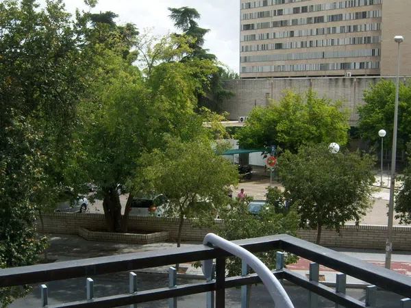 Piso en Avenida Menéndez Pidal, 1 - Foto 15