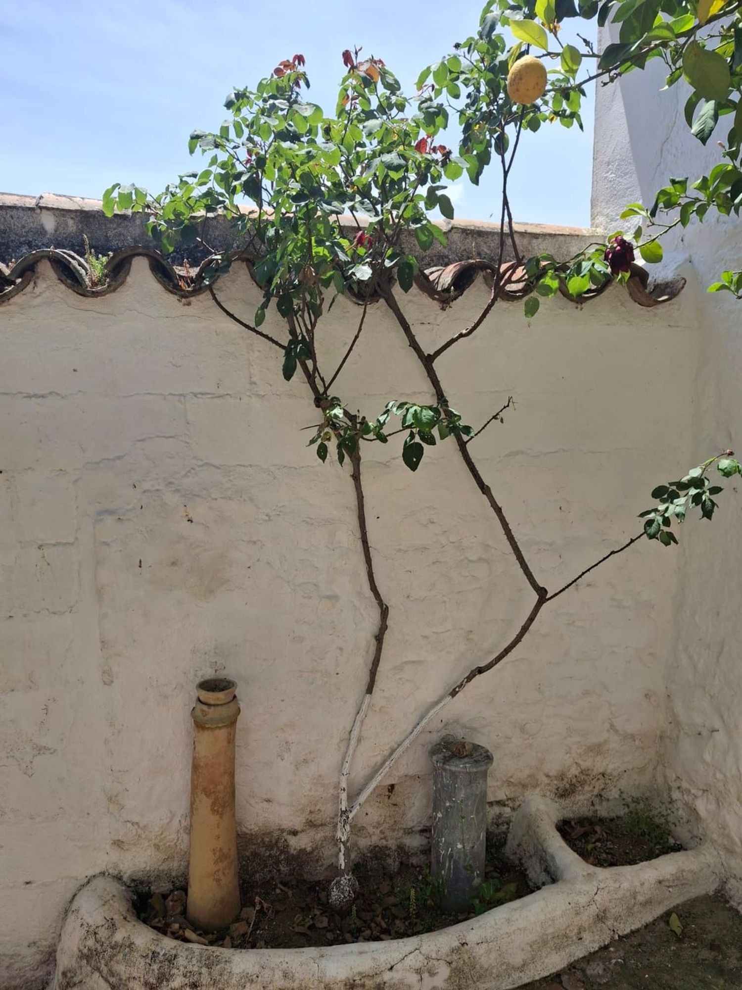 Casa de pueblo en Calle Castelar, 2 - Foto 27