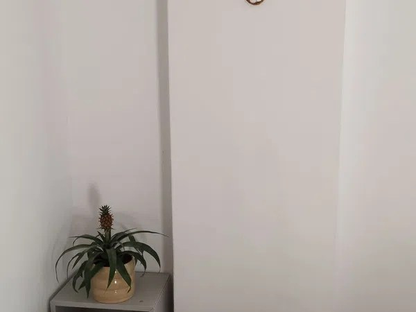 Piso en calle de Sant Jacint Castanyeda, 1 - Foto 16